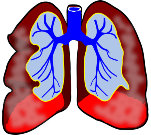 capacità polmonare