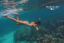snorkeling in thailandia